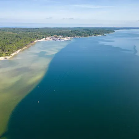 Maison Rénovée 6 Pers. à - Clim, Jardin, à Proximité Du Lac&plages - Fr-1-319-549 Hébergement de vacances Biscarrosse