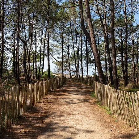 Maison Renovee 6 Pers. A - Clim, Jardin, A Proximite Du & Plages - Fr-1-319-549 比斯卡罗斯