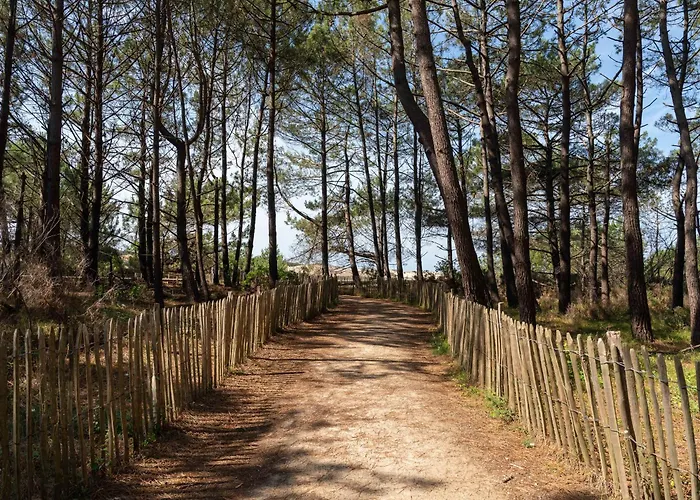 Maison Rénovée 6 Pers. à - Clim, Jardin, à Proximité Du Lac&plages - Fr-1-319-549